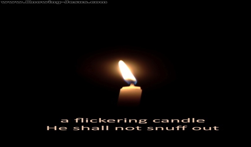 Matthew 12:20 A Flickering Candle He Will Not Snuff Out (black)